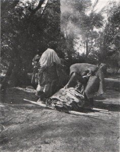 Emil Brass, Im Reiche der Pelze, Seite 265, Bilder aus Buchara, Die gebeizten Persianerfelle werden zur Wäsche getragen