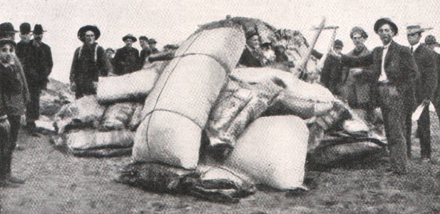 Emil Brass, Im Reiche der Pelze, Seite 199, Fellausbeute in Nome (Alaska) zur Verladung bereit