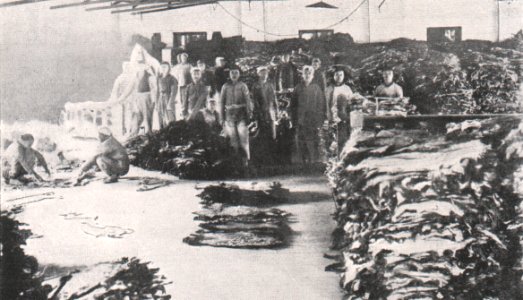 Emil Brass, Im Reiche der Pelze, Seite 252, Fell-Lager eines chinesischen Speichers (Godown)