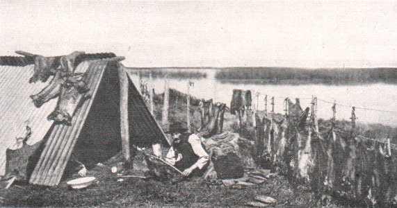 Emil Brass, Im Reiche der Pelze, Seite 264, Lager eines Nutriajägers am River Uruguay