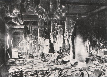 Emil Brass, Im Reiche der Pelze, Seite 288, Lagerraum der Hudson's Bay in Montreal