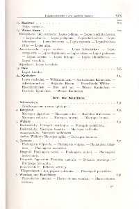 Emil Brass, Im Reiche der Pelze, Seite XIX