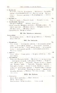 Emil Brass, Im Reiche der Pelze, Seite XX