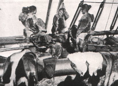 Emil Brass, Im Reiche der Pelze, Seite 247, Eskimofrauen an Bord Pearys Expeditionsschiffes mit Zubereiten erbeuteter Felle beschäftigt