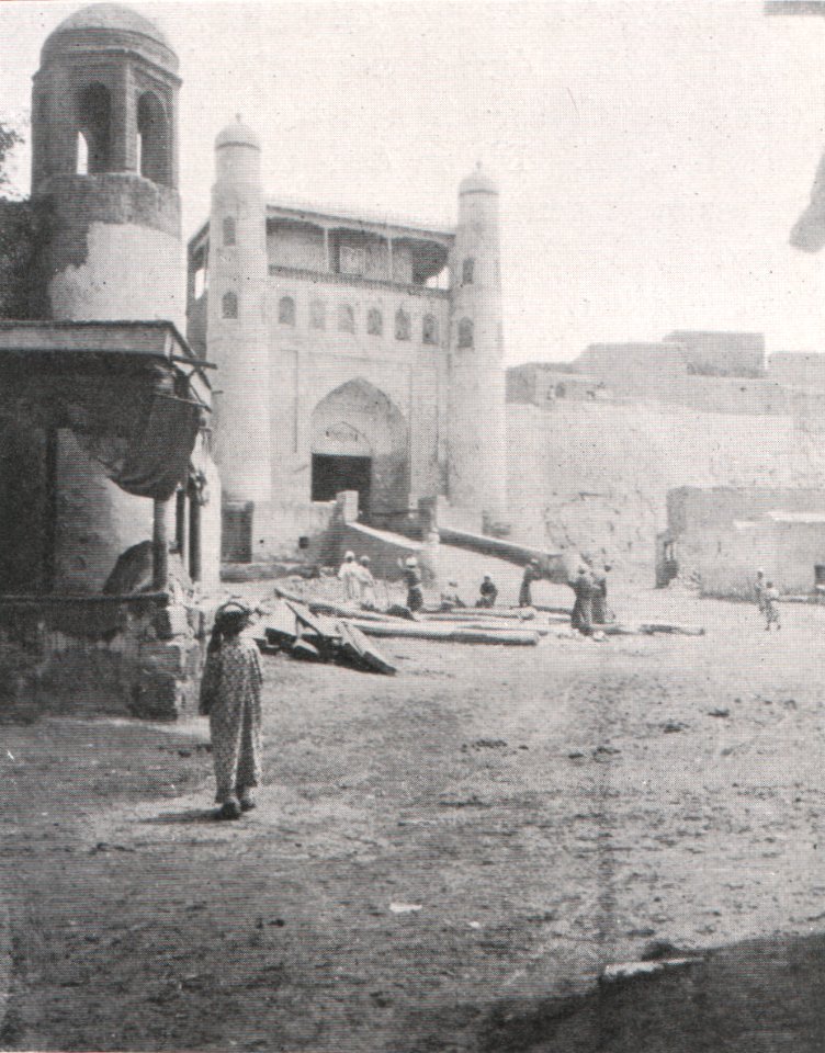 Emil Brass, Im Reiche der Pelze, Seite 261, Bilder aus Buchara, Burg des Emir von Buchara, des größten Persianerzüchters der Welt