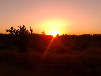 Sunrise vista dark