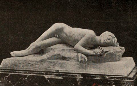 Emile Peynot Pro Patria 1886