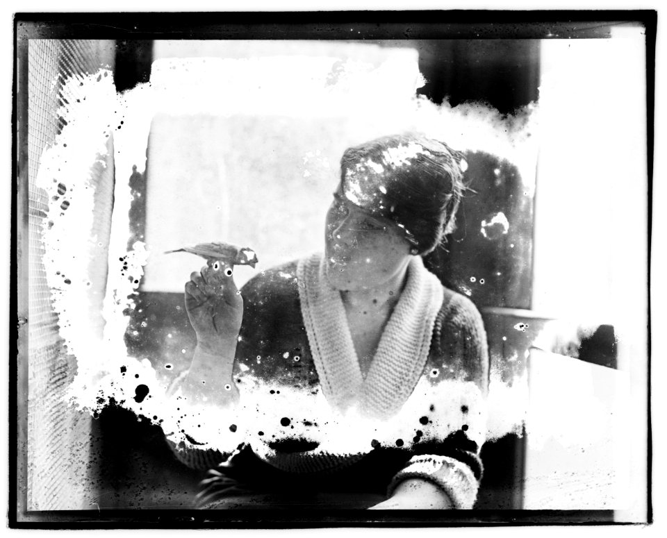 Emily Fowler Thompson and canary LOC npcc.02599