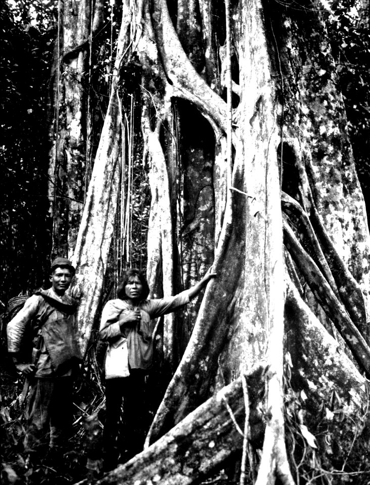 Empera-choco-indianen Selimo, som följde exp. och en mulatt i urskogen. Snarare zambo en mulatt - SMVK - 004056