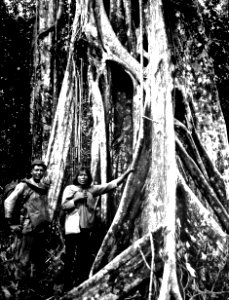 Empera-choco-indianen Selimo, som följde exp. och en mulatt i urskogen. Snarare zambo en mulatt - SMVK - 004056