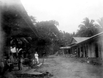 En gata. Sulawesi. Indonesien - SMVK - 010815
