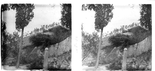 En el Pati de Sant Francesc