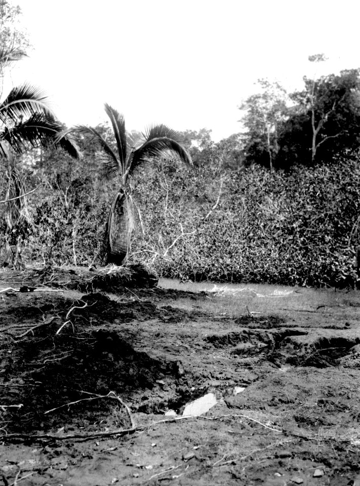 En del av ett undersökt indianskt gravfält. Sambú River, Darién. Panama - SMVK - 004029