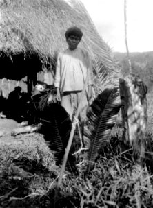 En s.k. bogotá -indian (Nordenskiölds . terminologi) från Veraguas. Mannens namn Belisario - SMVK - 004288