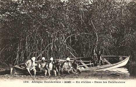 En rivière-Dans les palétuviers (Guinée)