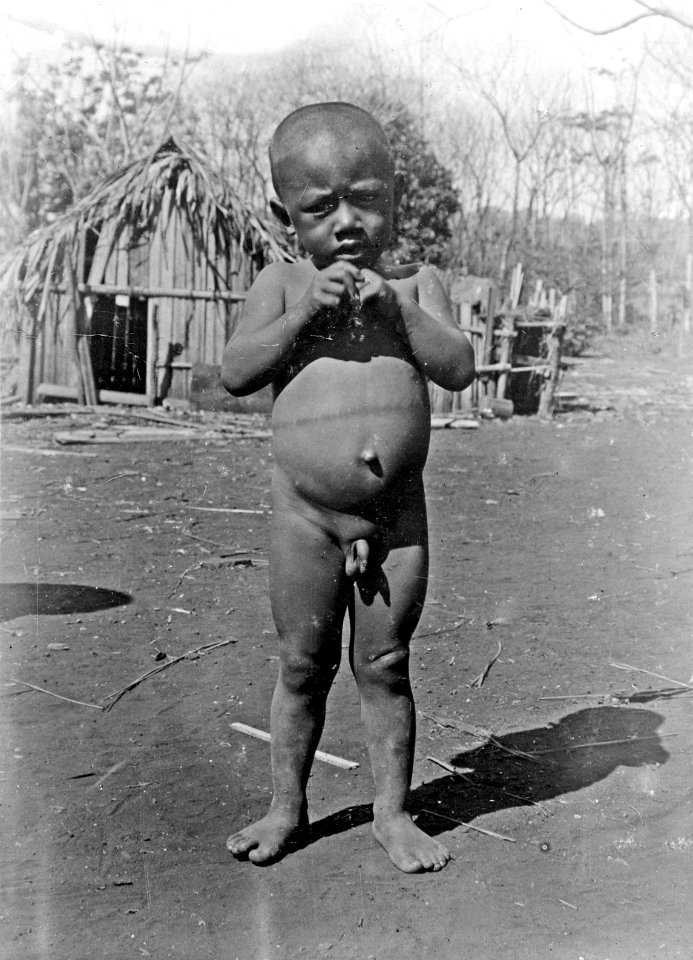 En trevlig hovagosse, Kotokeli, Sluszanskis fosterson. Madagaskar - SMVK - 001675