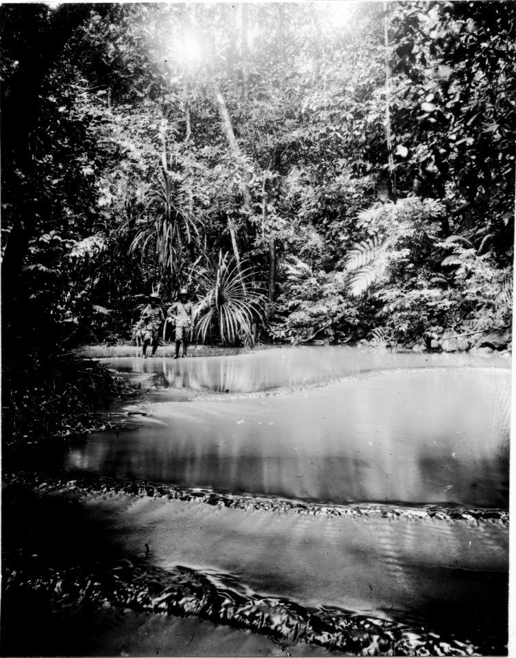 En å i bergen. Poso, Sulawesi. Indonesien - SMVK - 010744