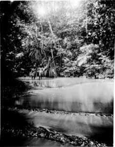 En å i bergen. Poso, Sulawesi. Indonesien - SMVK - 010744