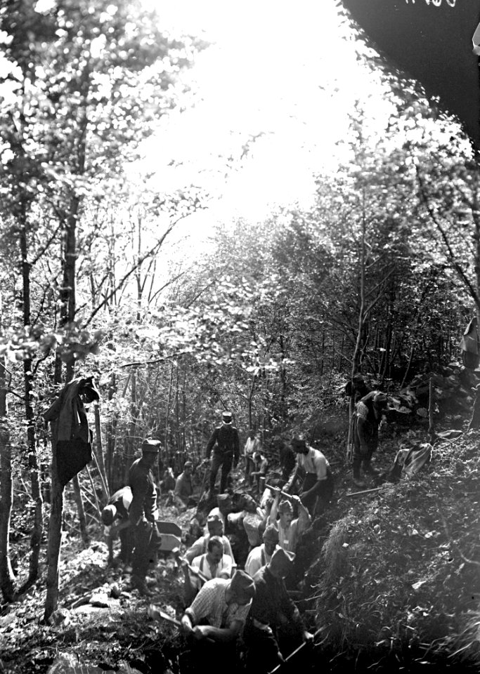 Enge Platzverhältnisse beim Schützengrabenbau im Wald - CH-BAR - 3240107