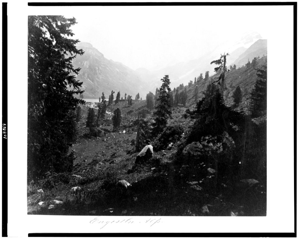 Engestln Alp LCCN94514008