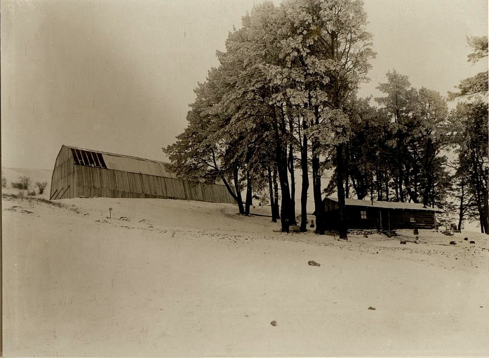 Gesammtansicht der Ballonabteilung 6, aufgenommen am 26.1.1917 (BildID 15543164)