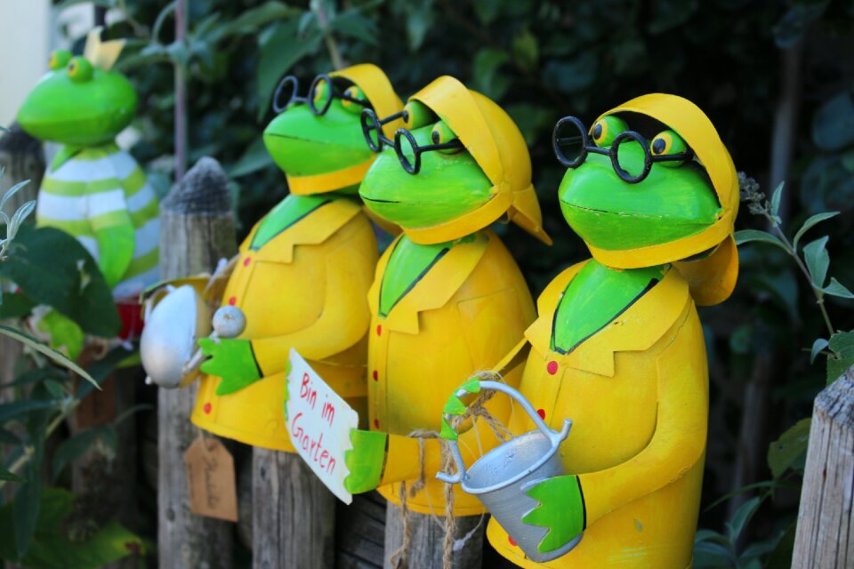 Glasses figure garden frog