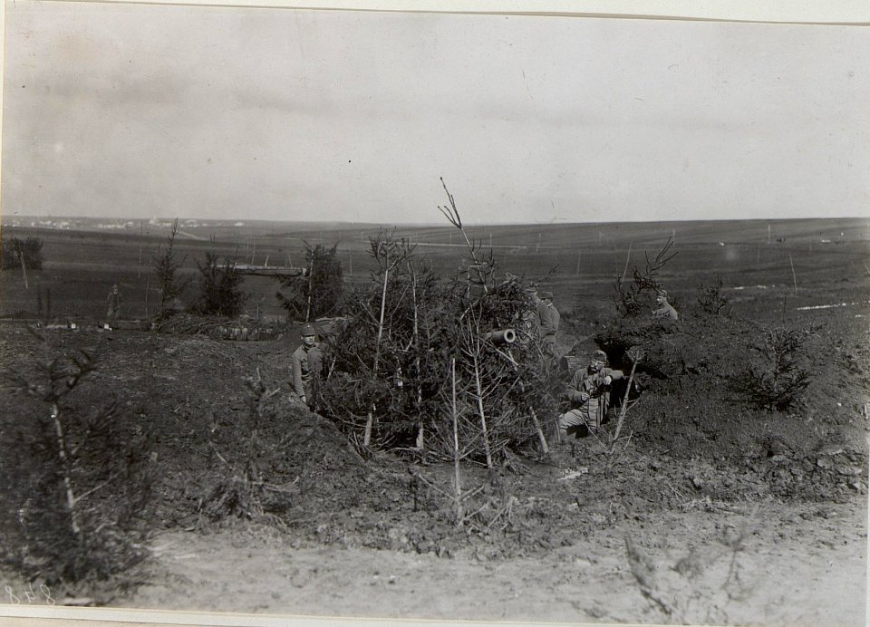 Geschütz der Kanonenbatterie 4-19, gegen Flieger maskiert (BildID 15441537)