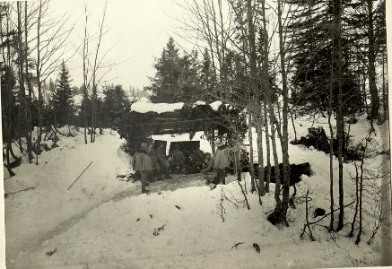 Geschütz der 1 G.Kn.5 am Hange der Brückenköpfe. (BildID 15468816)