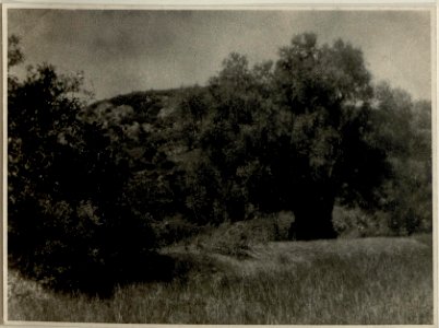 Geschützstand bei Kilisman (BildID 15544391)