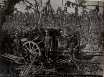 Geschützstellung in einem Maisfeld in Venetien 28.1.18. (BildID 15614460)