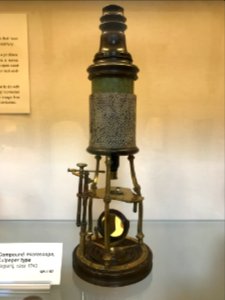 English - Compound microscope, Culpeper type - Whipple Wh.1157