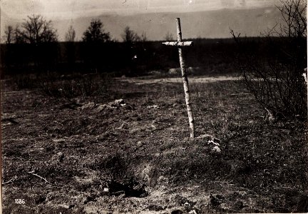 Entblösstes Heldengrab bei Stanislau. (28-III.1918.) (BildID 15714106)