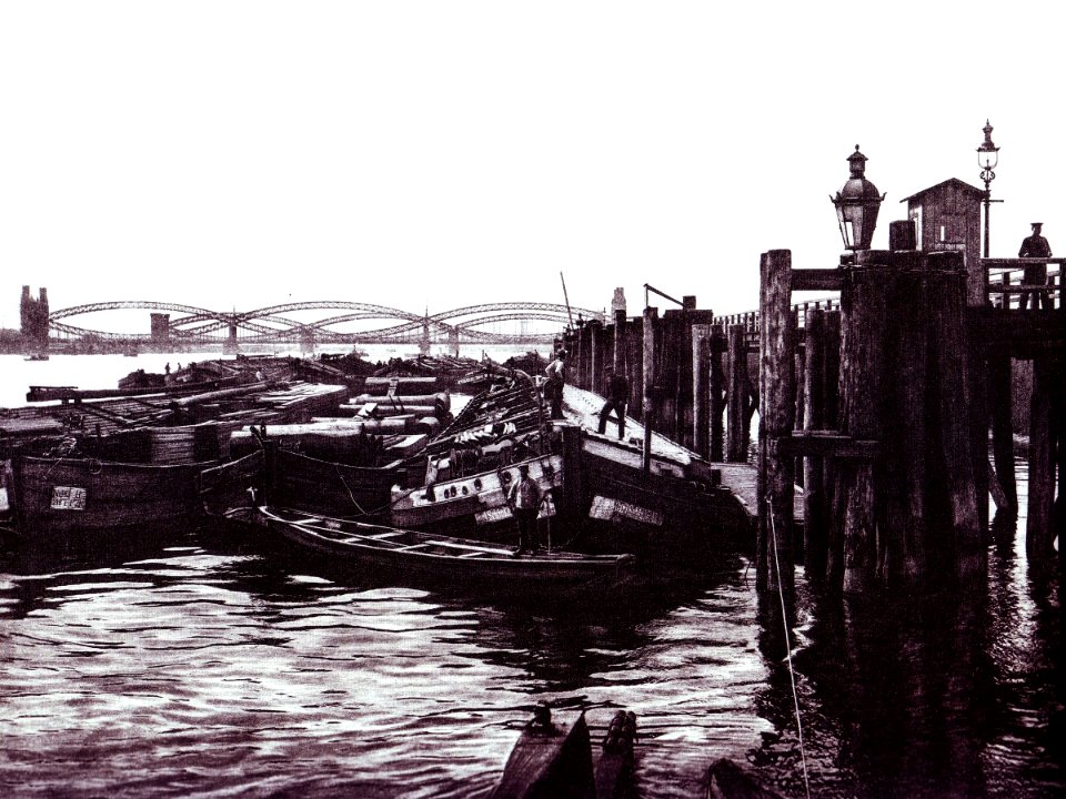 Entenwärder Zollhafen mit Elbbrücken Hamburg um 1900