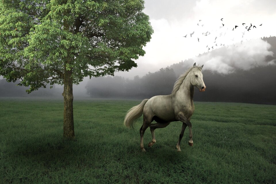 Nature farm cavalry