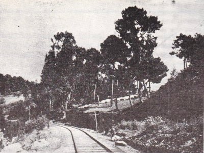 Entre Chillán y Concepción vía Tomé - Congreso de Ferrocarriles del Estado (1929)