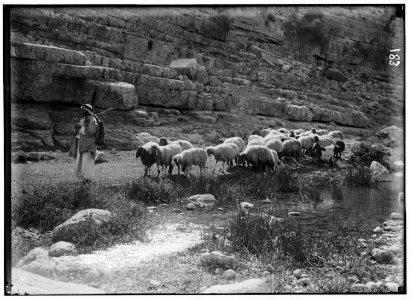 Environs of Jerusalem. Ain Farah, scene of 23rd Psalm LOC matpc.00962