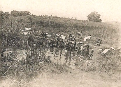 Environs de Beyla (Guinée) (cropped)