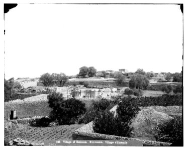 Environs of Jerusalem. Emmaus (El-Kubebeh) LOC matpc.06754