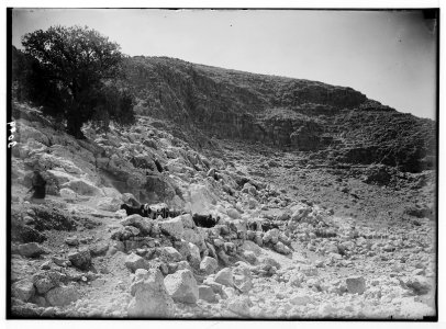 Environs of Jerusalem. Gorge of Ain Samieh LOC matpc.02645