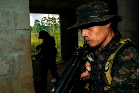 EOD techs and Guatemalan forces take part in a training exercise as part of Southern Partnership Station '14. 140810-N-IP743-865