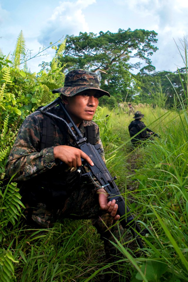 EOD techs and Guatemalan forces take part in a training exercise as part of Southern Partnership Station '14. 140810-N-IP743-782