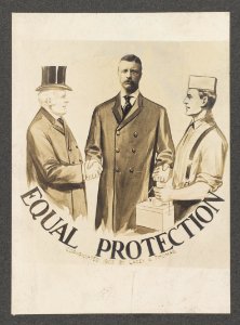 Equal protection LCCN2013651238