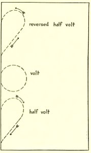 Equitation images fig-055