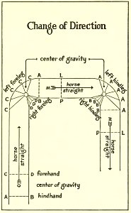 Equitation images fig-051