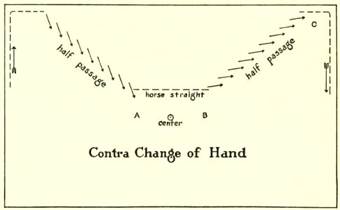Equitation images fig-059