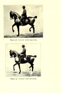 Equitation images fig-068