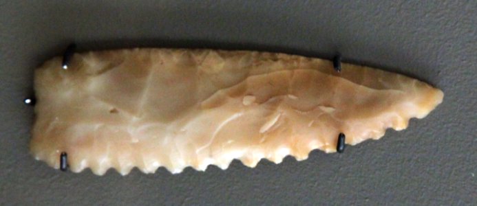 Erated silex blade-D 1093-IMG 9511