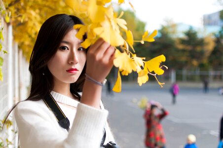 Girls shenyang agricultural university university student