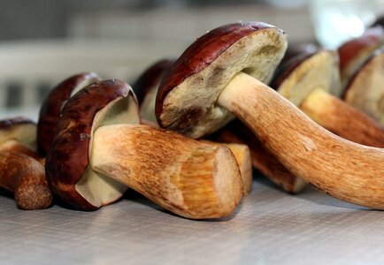 Edible plants brown