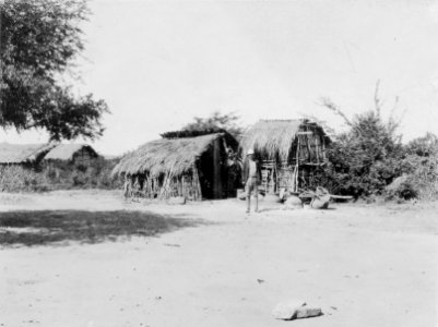 Erland Nordenskiöld i chanébyn. Lokal, Byn Campo y Duran, Rio Itiyuro, v. Argentina. Stam, Chané - SMVK - 004977